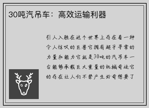 30吨汽吊车：高效运输利器